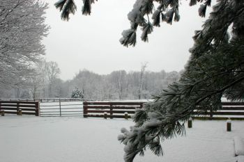 McCormicks Creek State Park in Winter