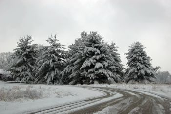 McCormicks Creek State Park in Winter